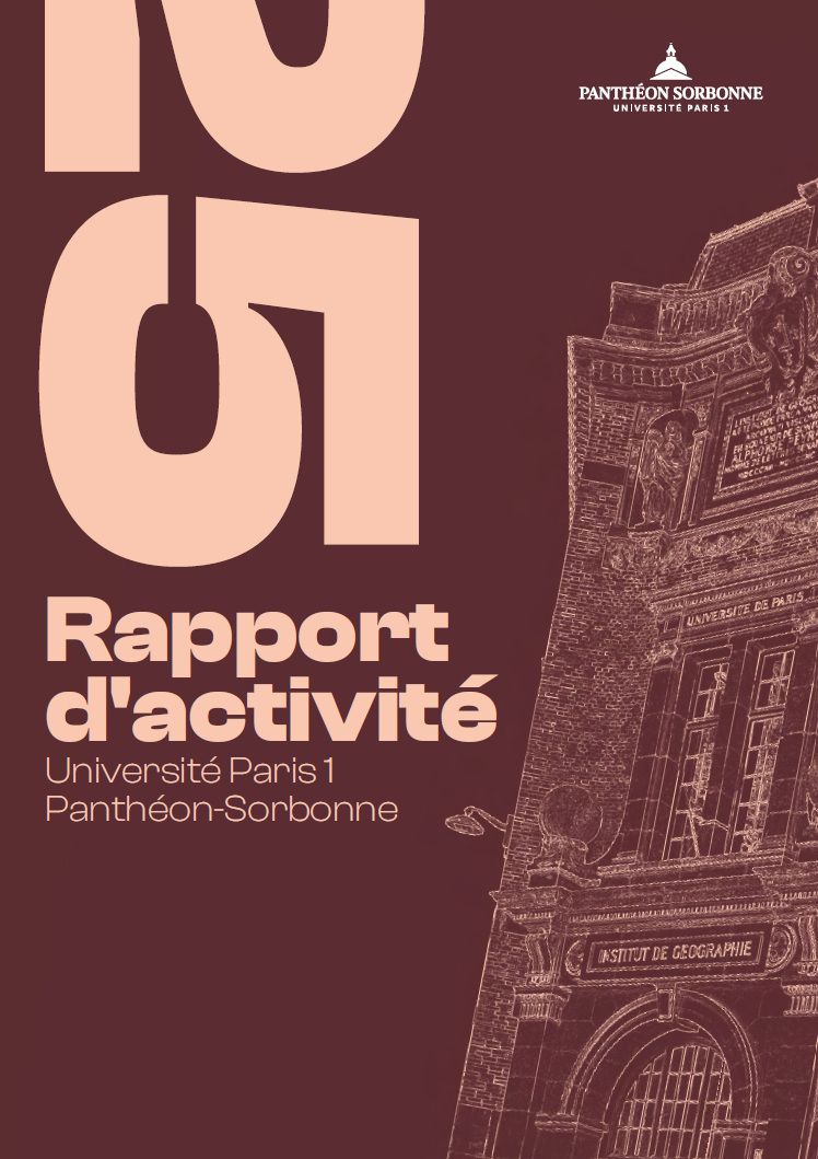 vignette rapport d'activité 2025